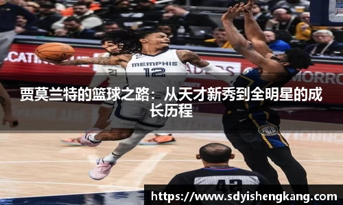 Bsports体育官方网站