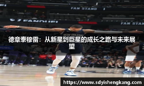 德章泰穆雷：从新星到巨星的成长之路与未来展望